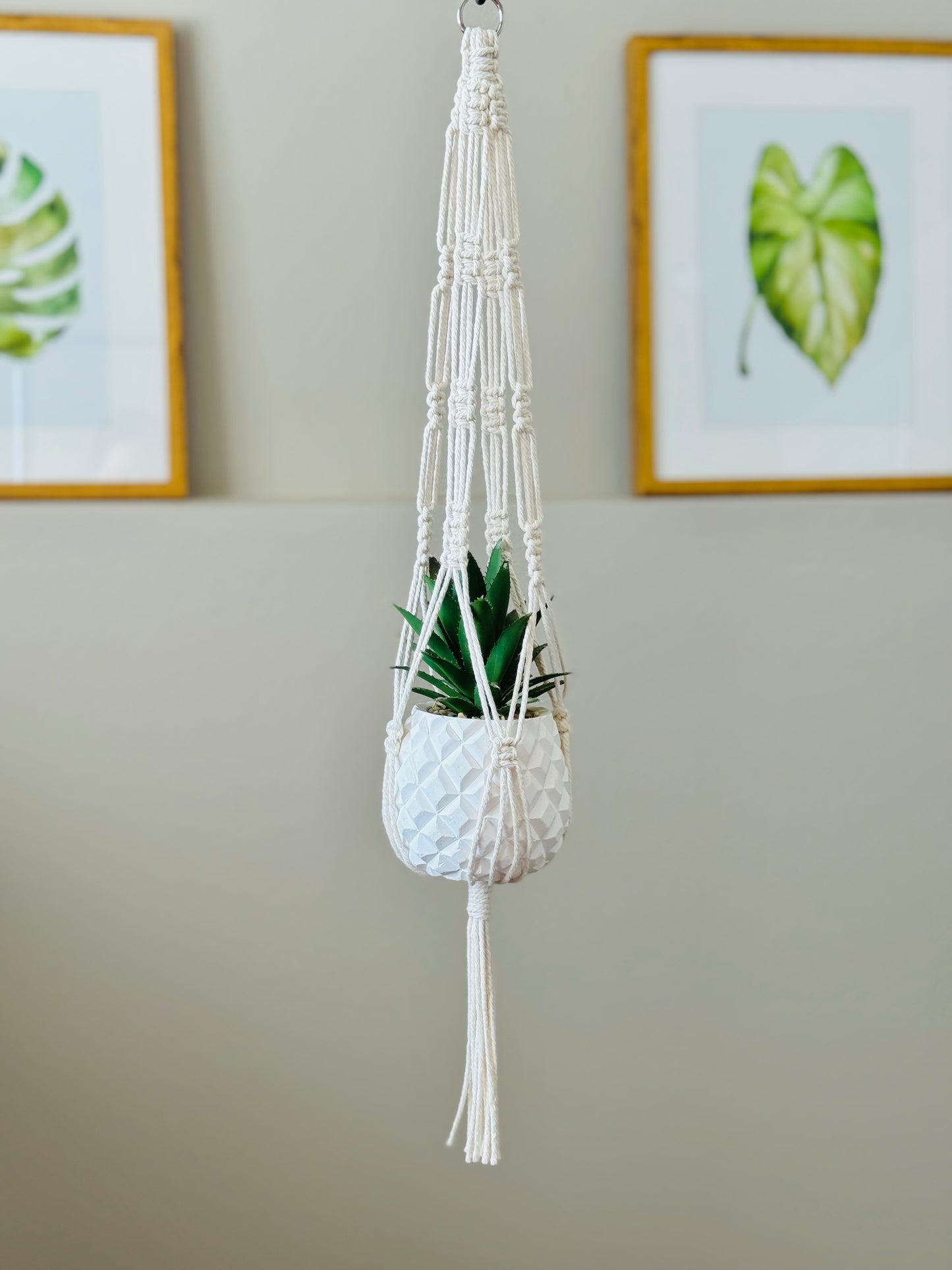 Small Plant Hanger